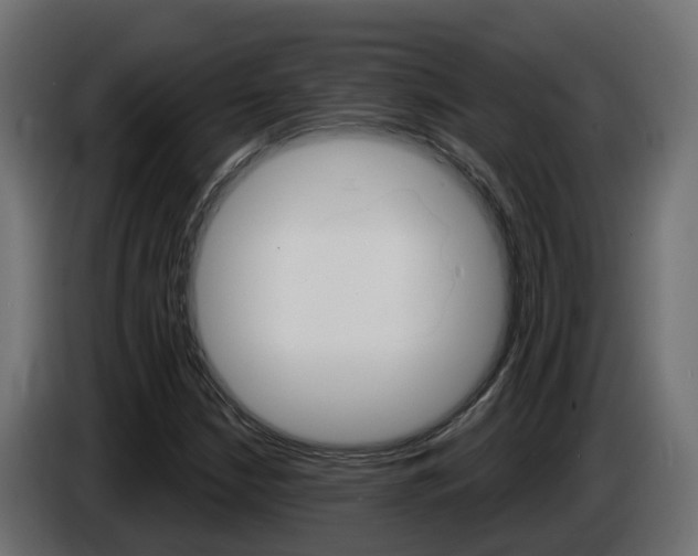 X0000086731210200704130740