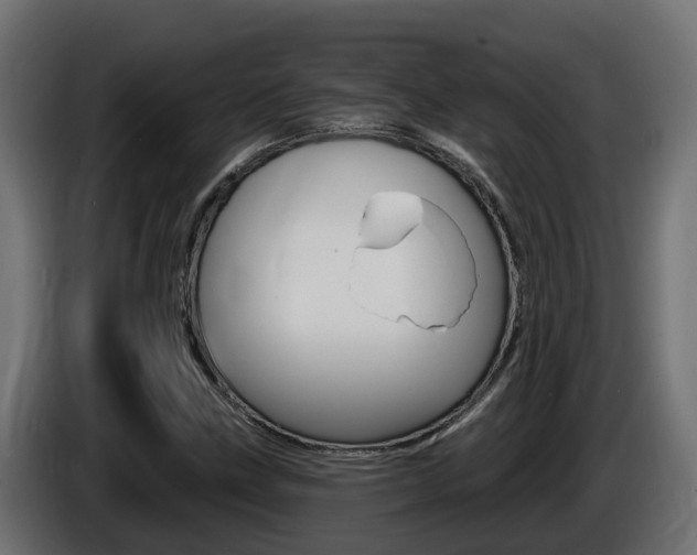X0000086731211200704130740