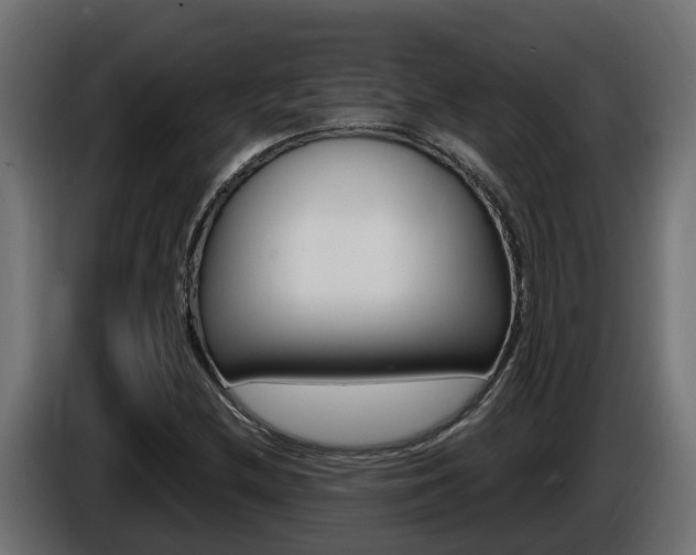X0000086731212200704130740