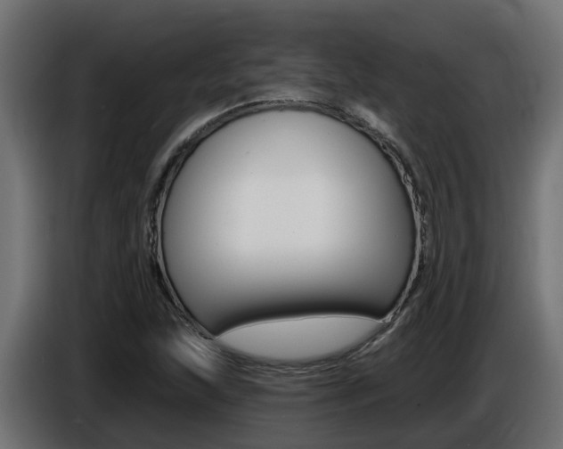 X0000086731215200704130740