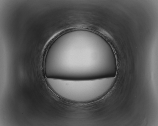 X0000086731216200704130740