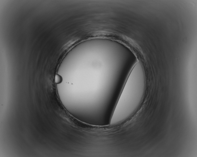 X0000086731217200704130740