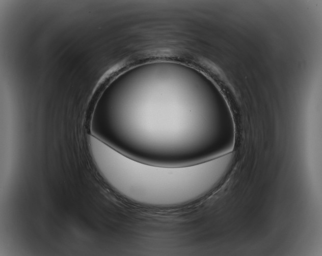 X0000086731218200704130740