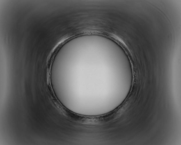 X0000086731219200704130740