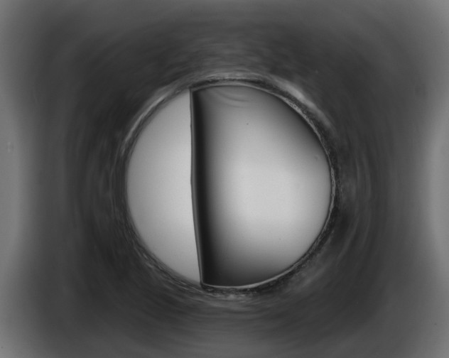 X0000086731221200704130740