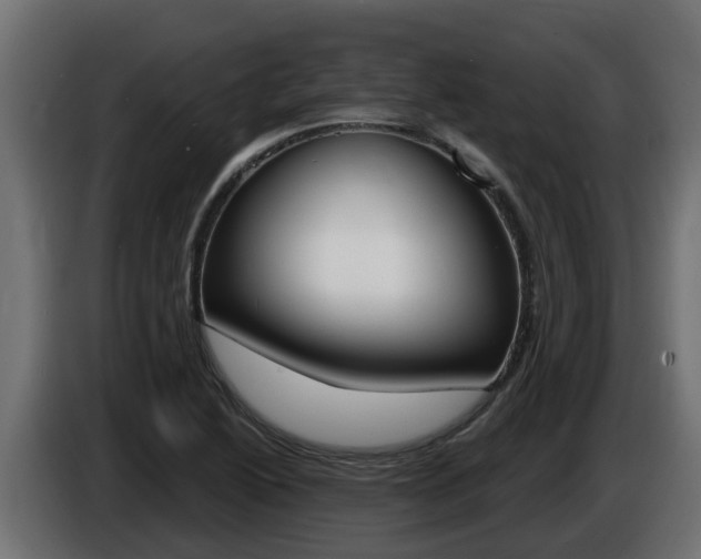 X0000086731222200704130740