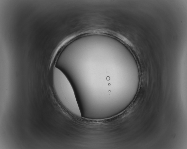 X0000086731223200704130740