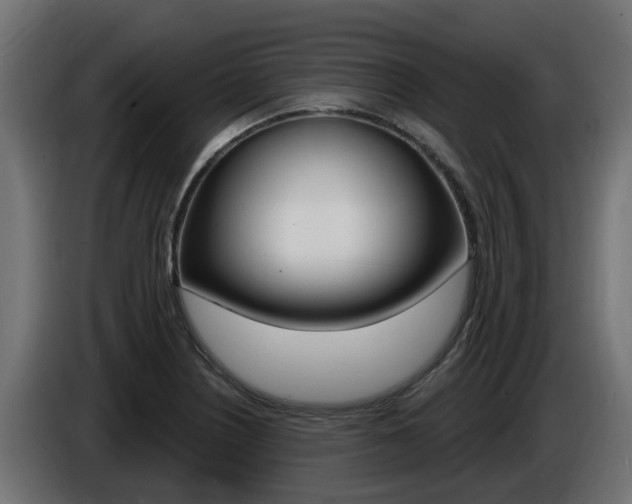 X0000086731226200704130740