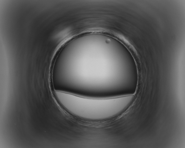 X0000086731229200704130740