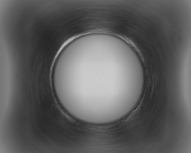 X0000086731230200704130740