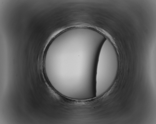 X0000086731231200704130740