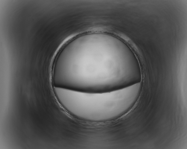 X0000086731232200704130740