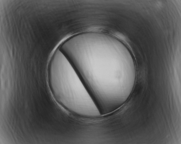 X0000086731235200704130740