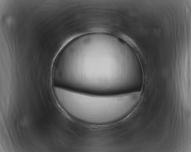 X0000086731236200704130740