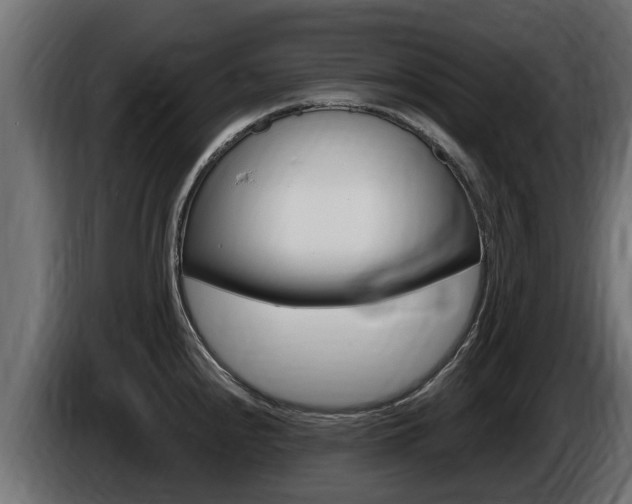X0000086731240200704130740