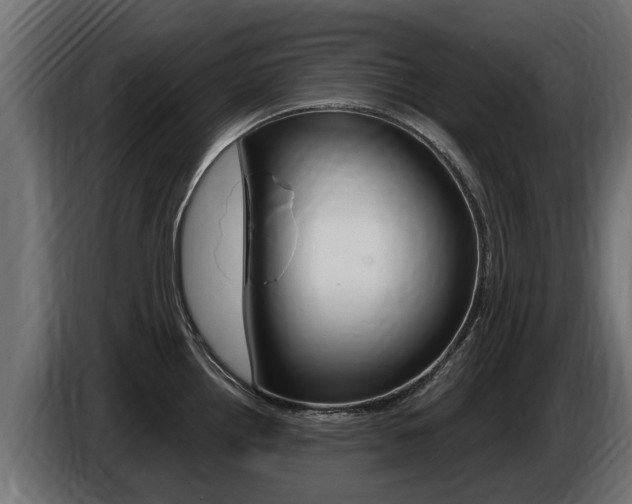 X0000086731242200704130740