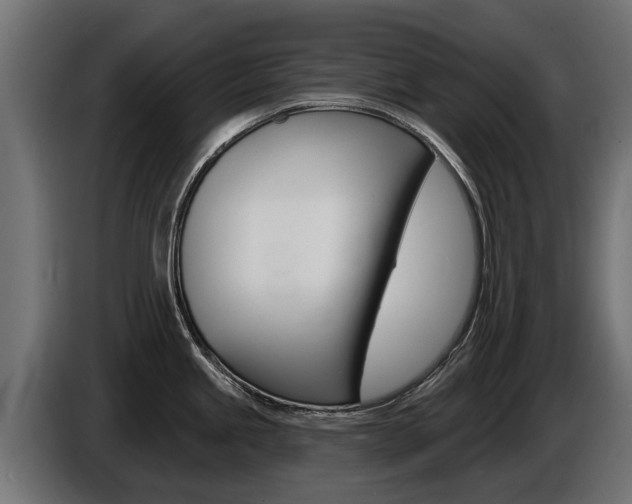 X0000086731245200704130741