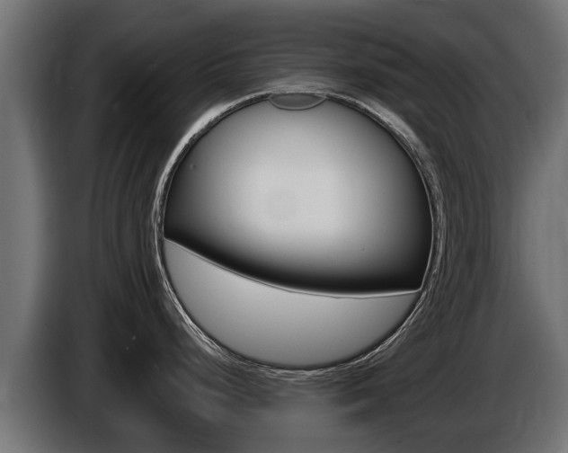 X0000086731248200704130741