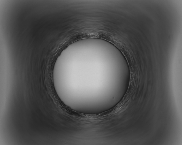 X0000086731249200704130740