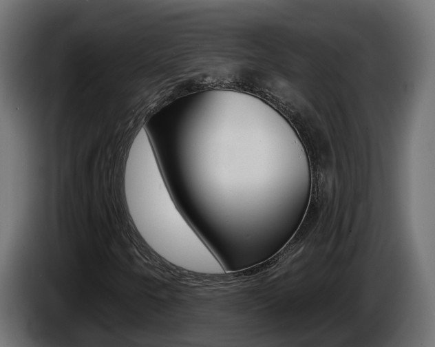 X0000086731250200704130740