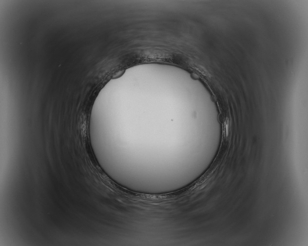 X0000086731251200704130740
