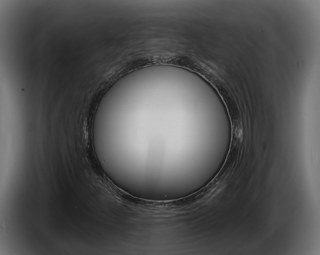 X0000086731252200704130740