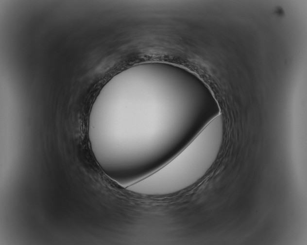 X0000086731253200704130740