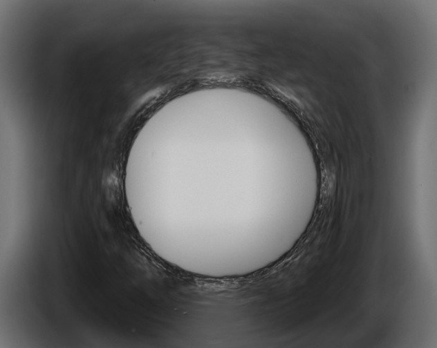 X0000086731254200704130740