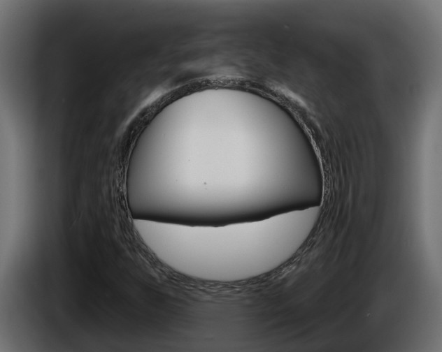 X0000086731255200704130740