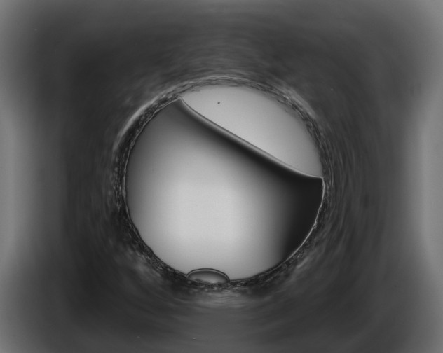 X0000086731256200704130740