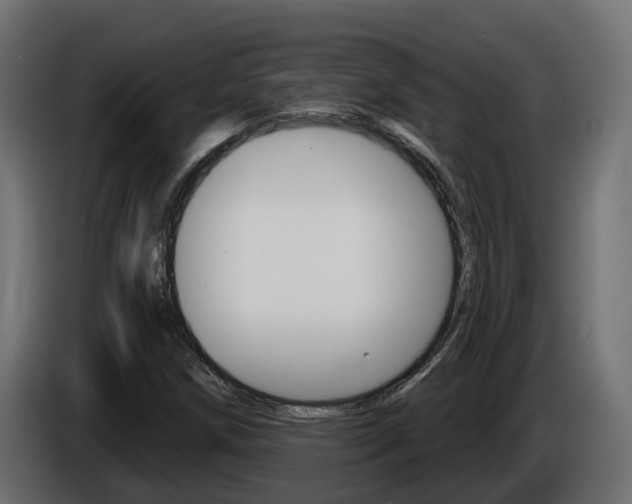 X0000086731258200704130740
