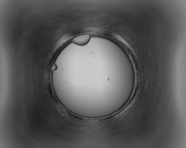 X0000086731259200704130740