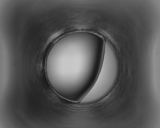 X0000086731261200704130740