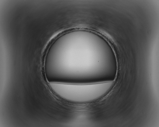 X0000086731264200704130740