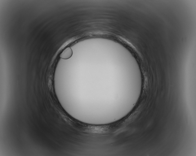 X0000086731266200704130740