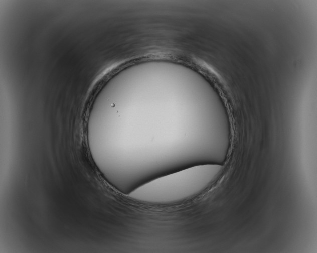 X0000086731267200704130740