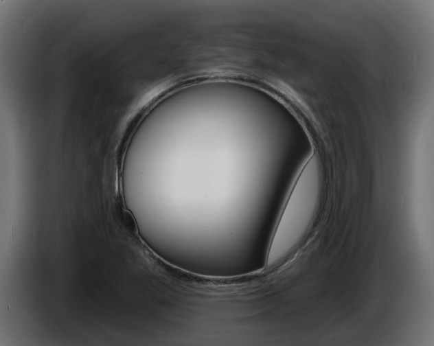 X0000086731269200704130740