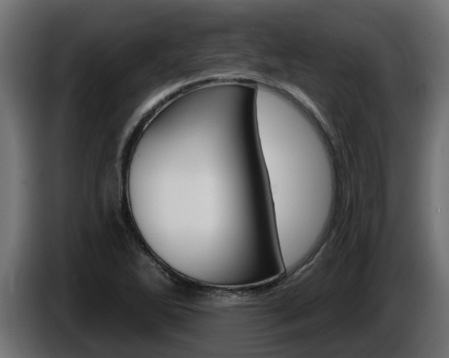 X0000086731270200704130740