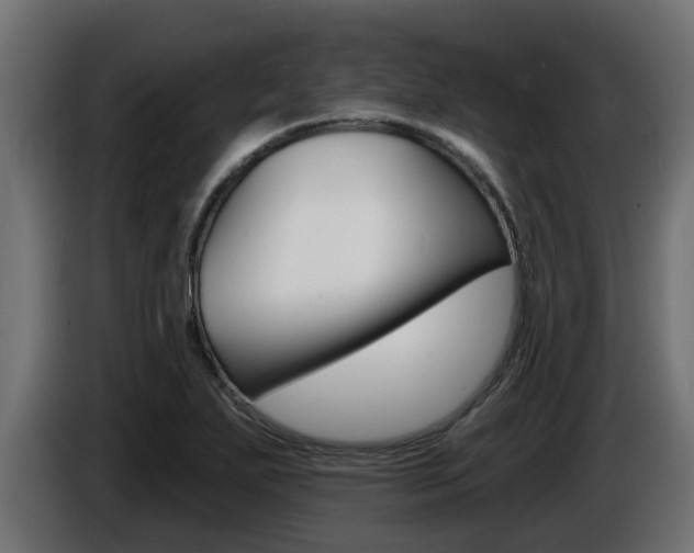 X0000086731271200704130740
