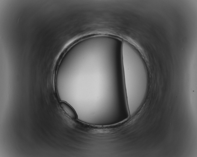 X0000086731272200704130740