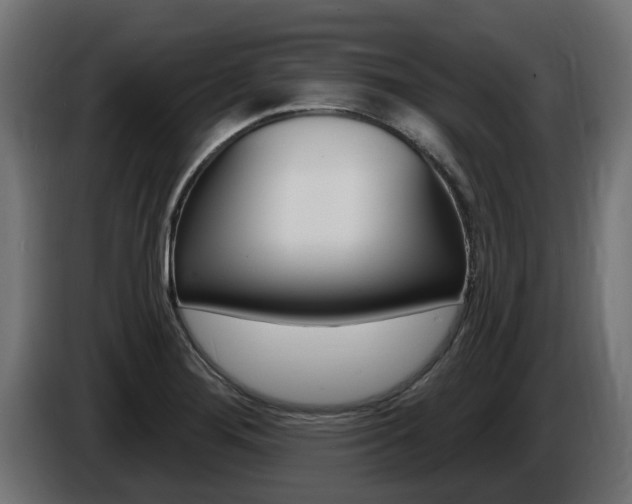 X0000086731276200704130740