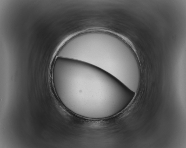 X0000086731279200704130739