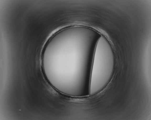 X0000086731280200704130739