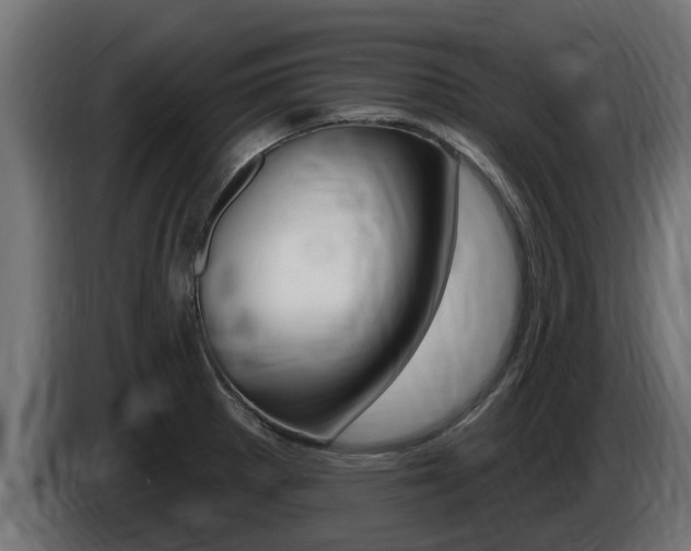 X0000086731281200704130739