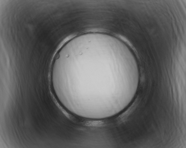 X0000086731282200704130739