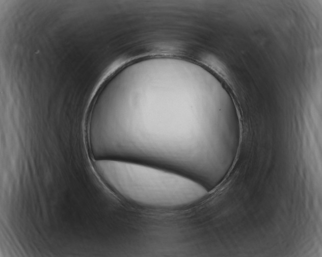 X0000086731283200704130739