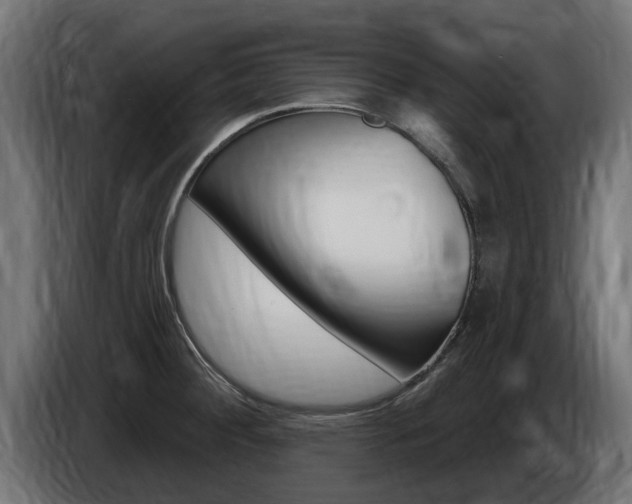 X0000086731284200704130739