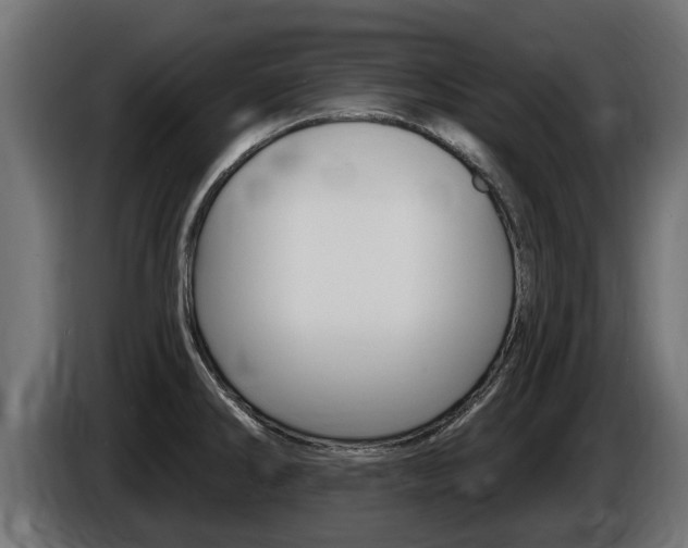 X0000086731286200704130739
