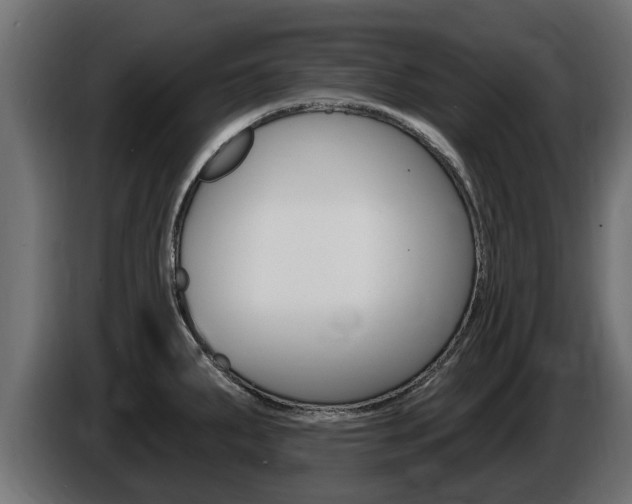 X0000086731287200704130739