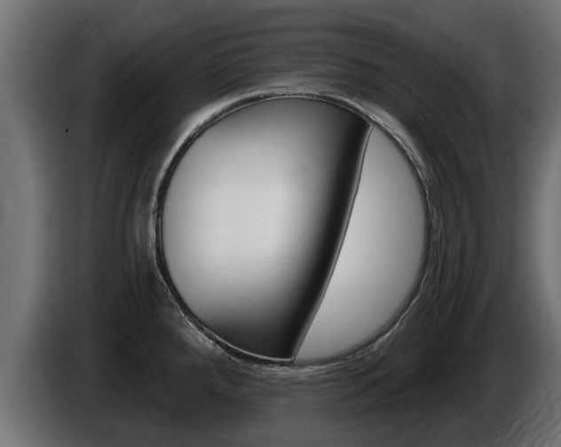 X0000086731288200704130739